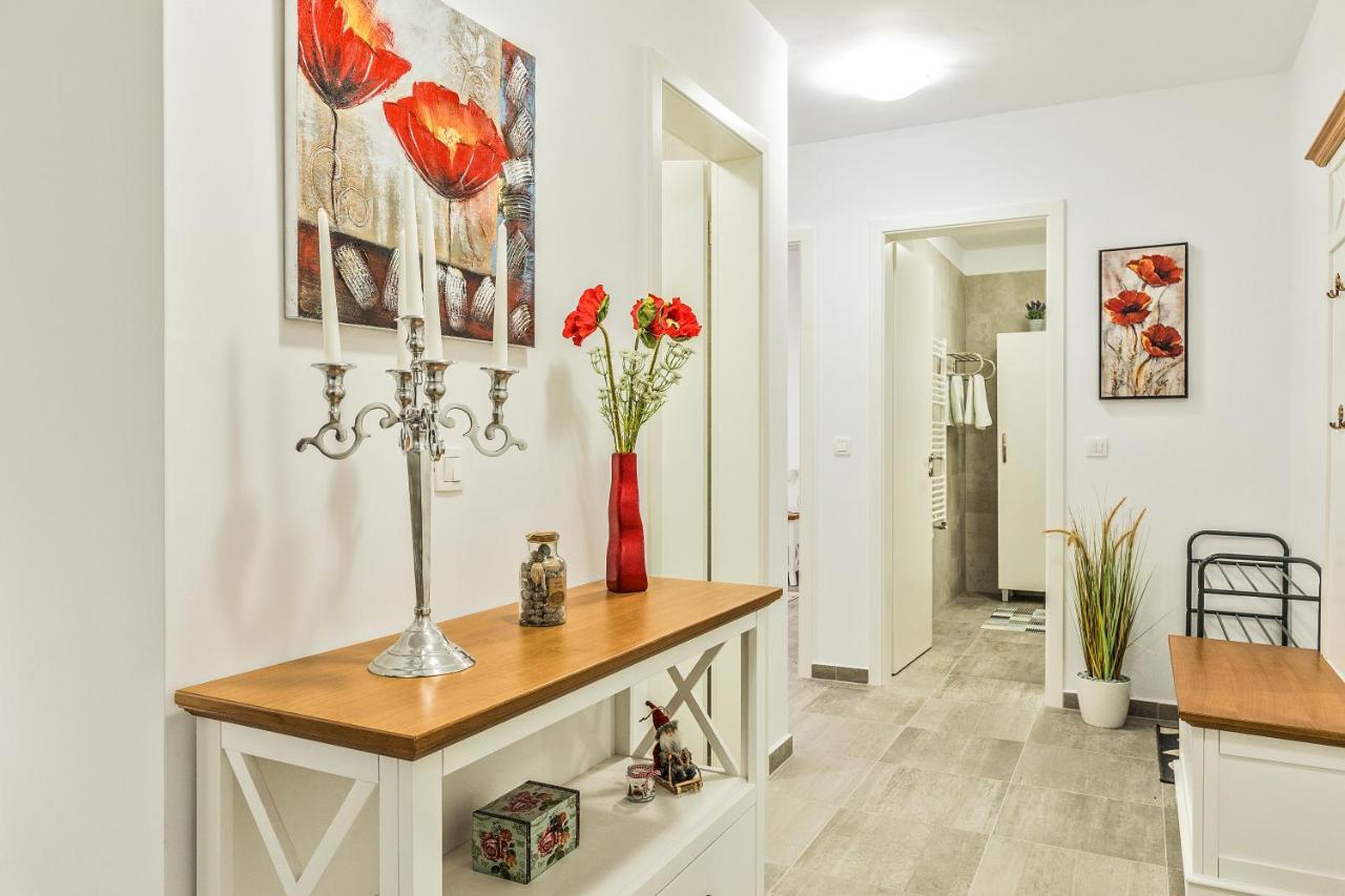 Elegant Sophia'S Apartment Brasov Exterior photo